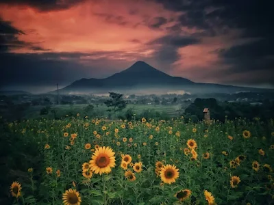 taman adn firdaus pandaan pasuruan