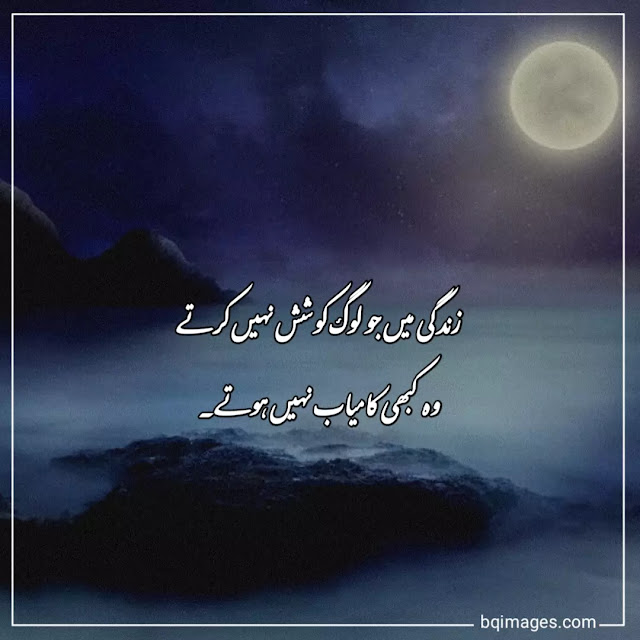 Kamyabi Quotes in Urdu