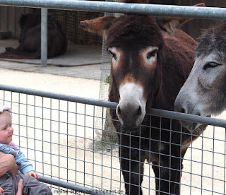 Zoobesuch: Roadtrip Norditalien mit Baby