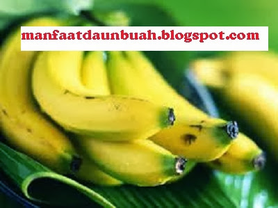 Manfaat Buah Pisang