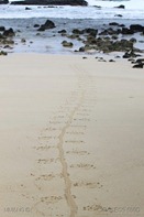IMG_0103