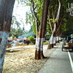 View album