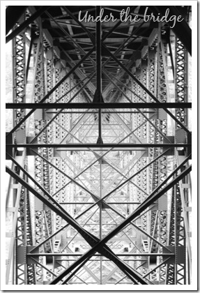 DPP_00014304-1