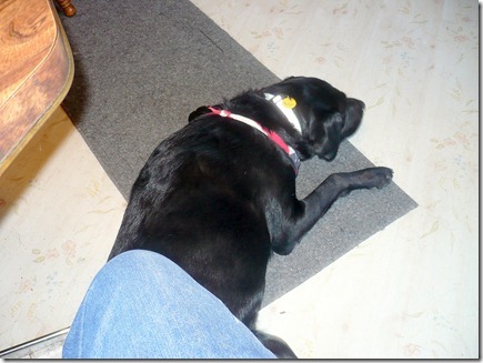 Rigg's09-25-11a