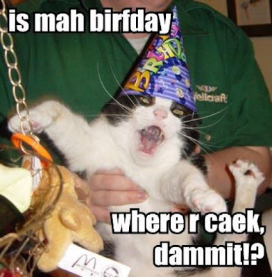 cats celebrate their birthdays