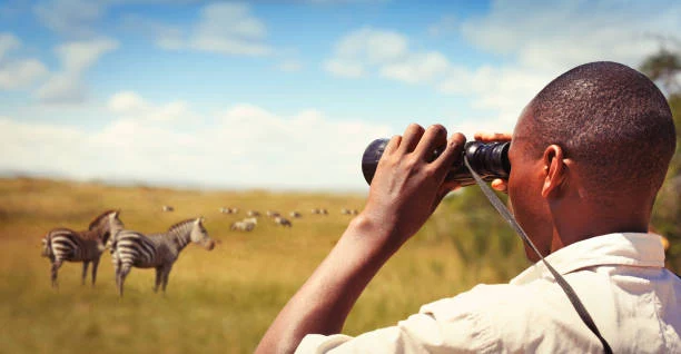 A zoologist with binoculars watching wild animals.