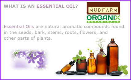 online essential oils