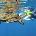 Wai’anae Snorkel Tour