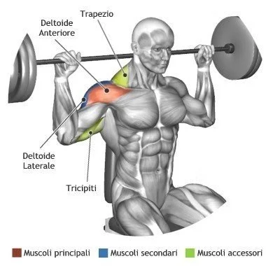 The Push/Pull Workout Plan For Muscle Gains And Fat Burning