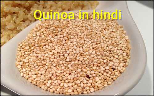 Quinoa in hindi