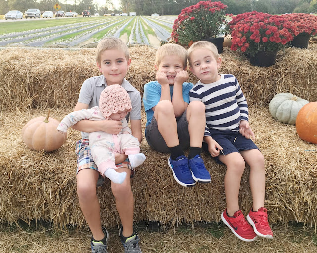 fall-pumpkin-patch