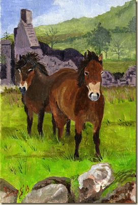 Cottage & Ponies024