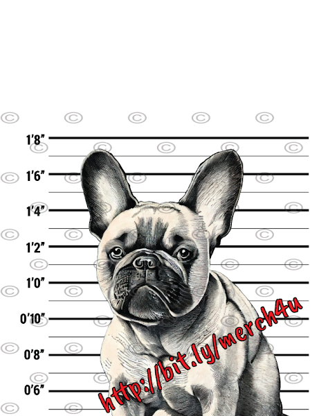 Frenchie Bulldog Mugshot III