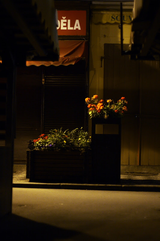 Prague - Flowers in Havelska street