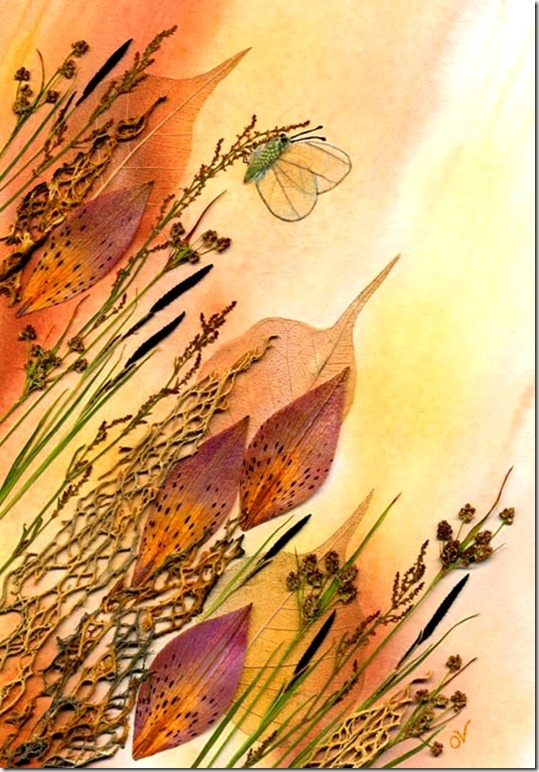 clip_image001