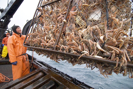 alaska crab fishing