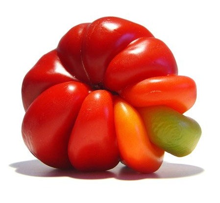 mutating-vegetables (10)