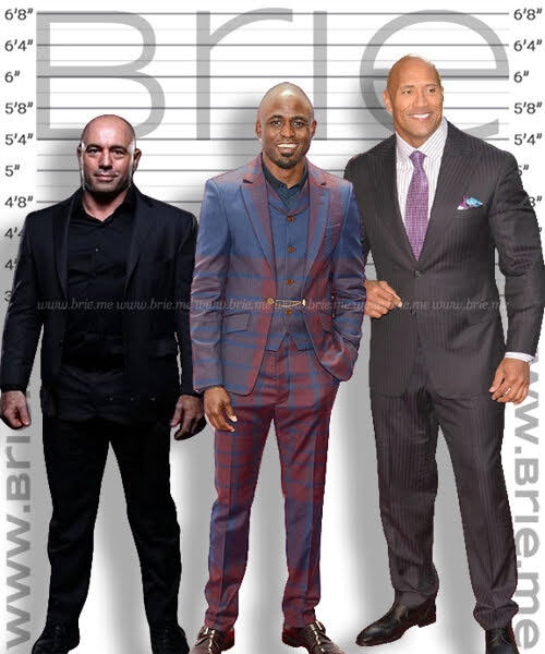 Wayne Brady with Joe Rogan and The Rock