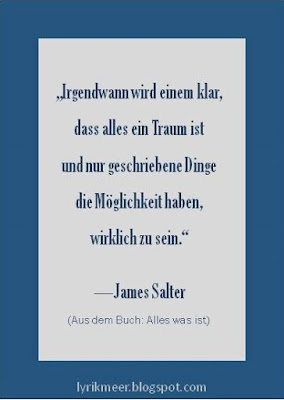 Lyrikmeer-Zitat, Irgendwann wird einem klar, dass alles ein Traum ist und nur geschriebene Dinge die Möglichkeit haben, wirklich zu sein, James Salter, Buch Alles Was ist