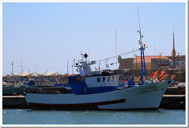 Cavaleiro FF-289-C (2)