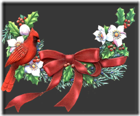 pajaritos navidad (21)