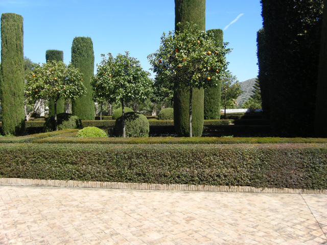 2010_03270008.JPG