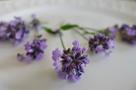 Lady lavender, edible flowers