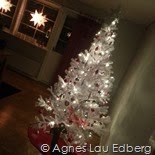 IMG_20131215_203723