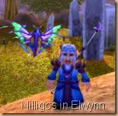 NilligosatStoneCairne