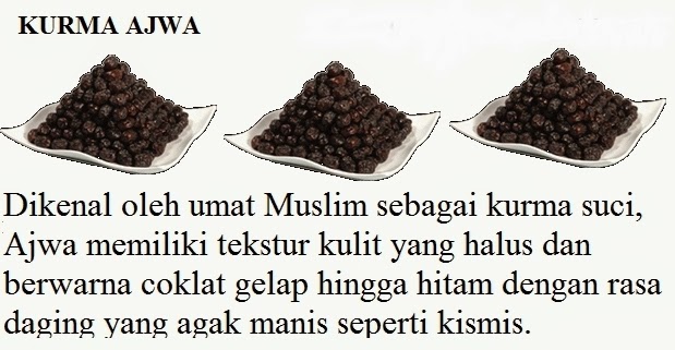 khasiat Kurma  Azwa untuk Khasiat kesehatan / Nabi kurma ajwa