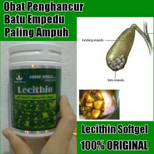 Jual Obat Batu Empedu Green World