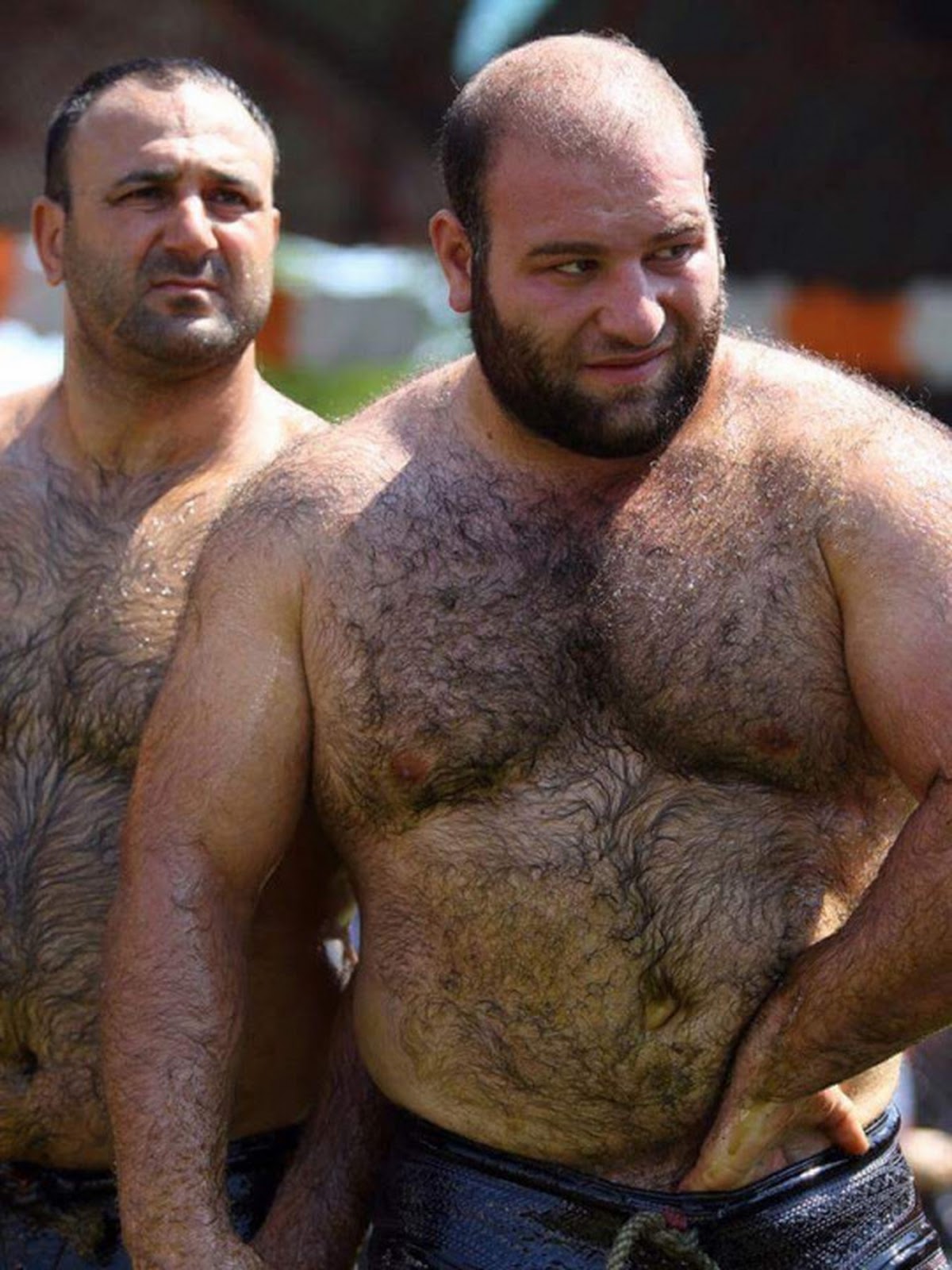 большие геи медведи фото 99