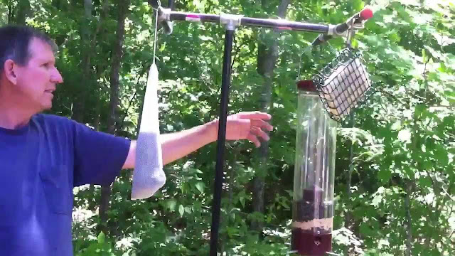 Bird Feeding Station Ideas