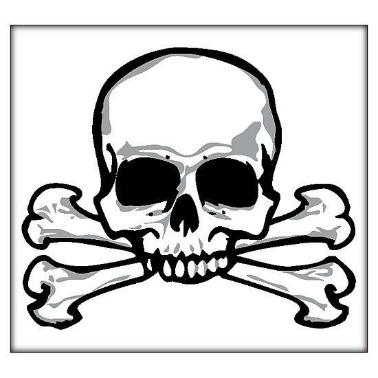 bones of skull. skull and crossbones tatoos.