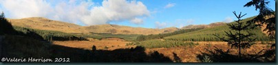 8 Panorama