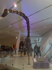 Dino Bones 1