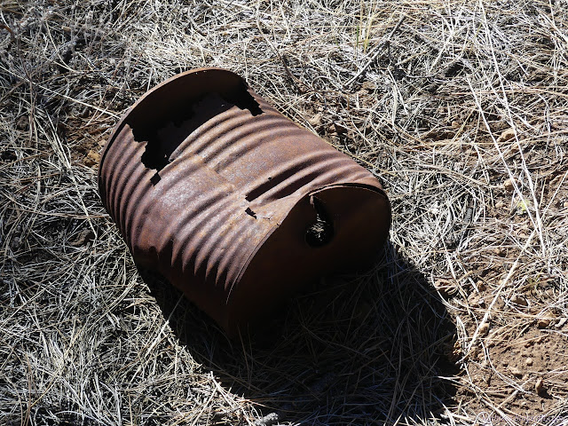 20: rusted can
