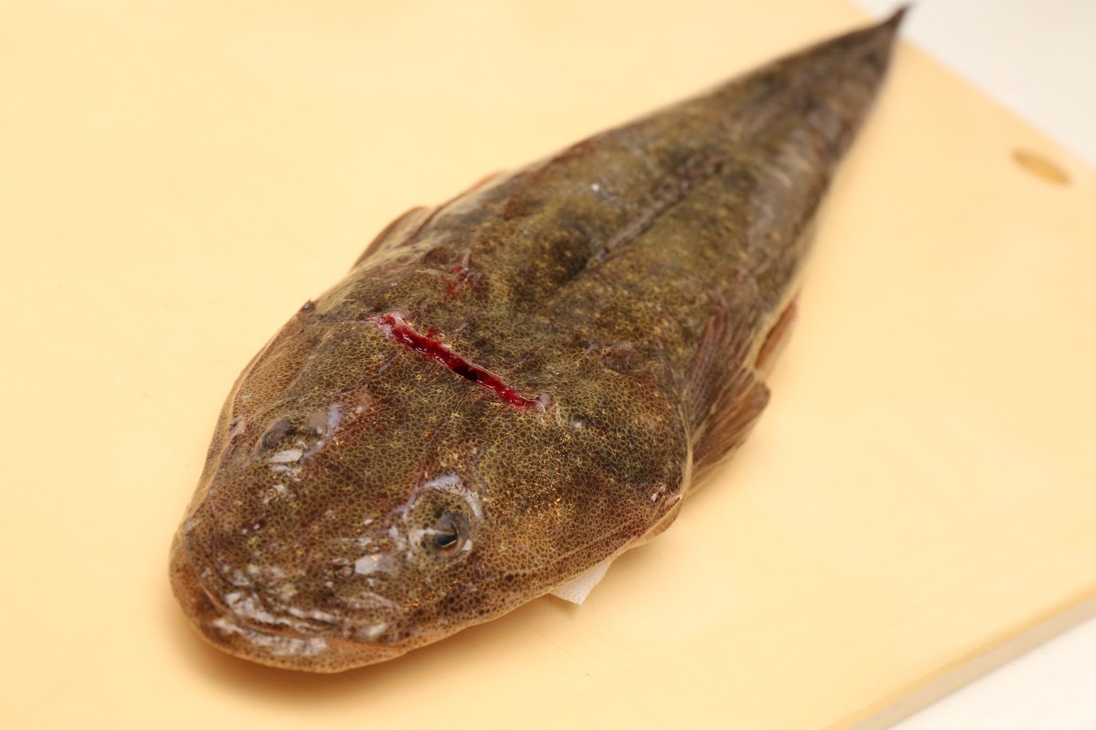刺身を作ろう 小学4年生にマゴチの生ちり 薄造り が意外と好評だった話 イクメンライフハッカー