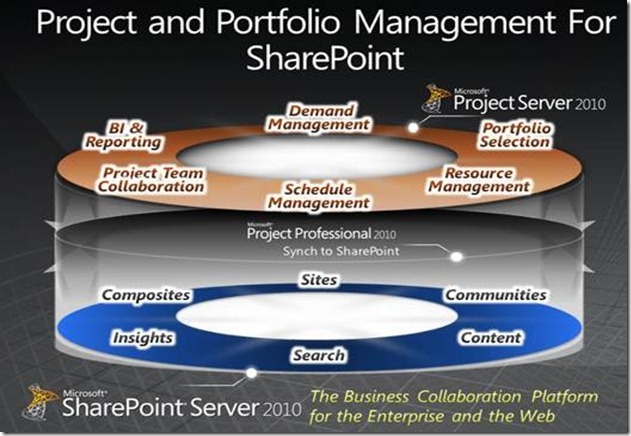 Project Server 2010