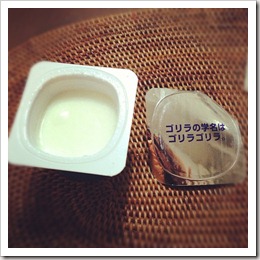 yogurt yogurt