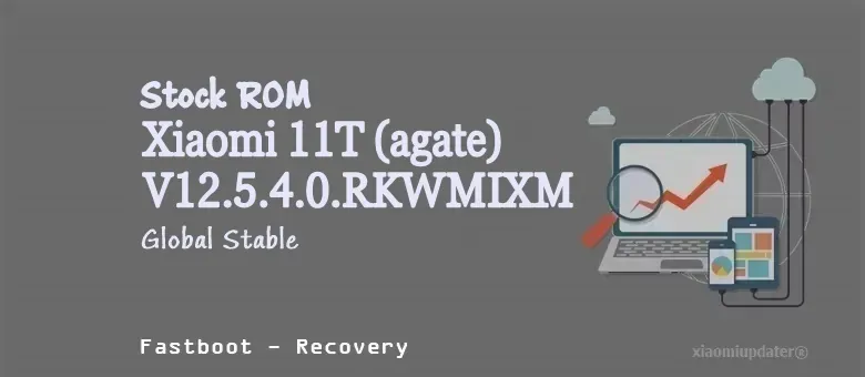 Xiaomi 11T (agate) V12.5.4.0.RKWMIXM Global Stable