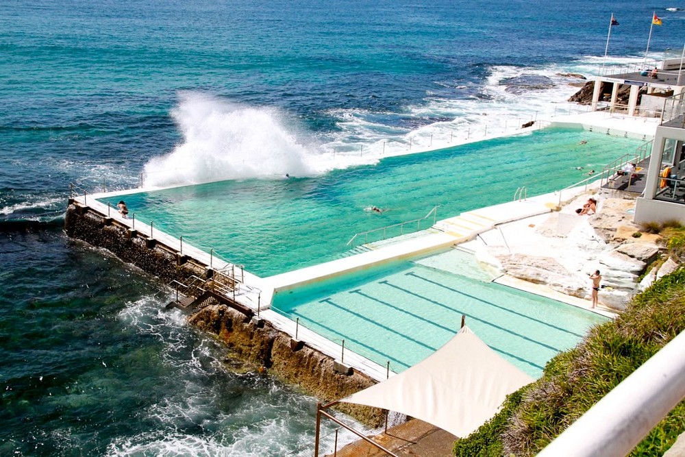 Bondi Icebergs