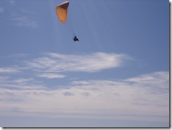 DSCI0651
