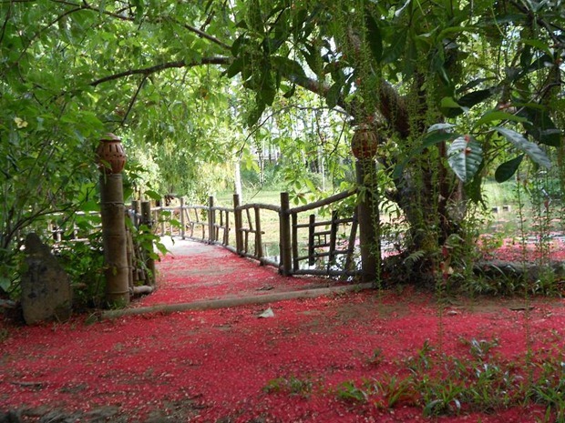 hoa-loc-vung-chua-tu-hieu-hue (23)