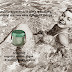 Esther Williams, the beauty of ocean and the organic beauty products