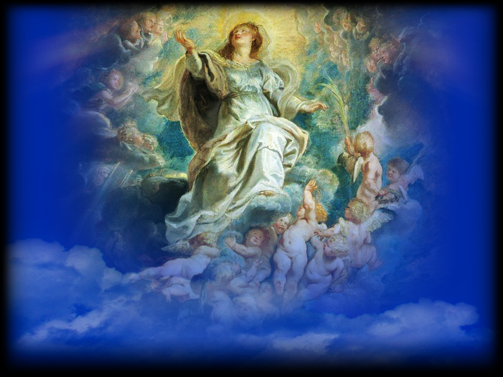 THE ASSUMPTION OF THE BLESSED VIRGIN MARY INTO HEAVEN