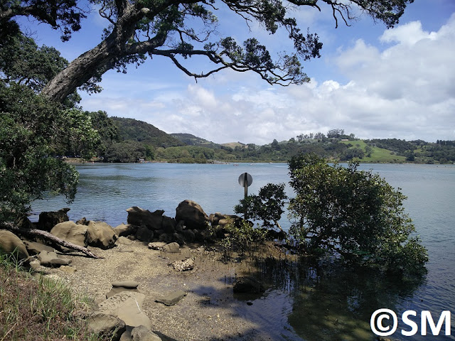 Photo plage de Wenderholm Regional Park Auckland Nouvelle-Zélande