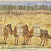 Οι καμήλες της Σμύρνης 