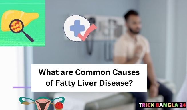 What are The 3 Most Common Causes of Fatty Liver Disease?