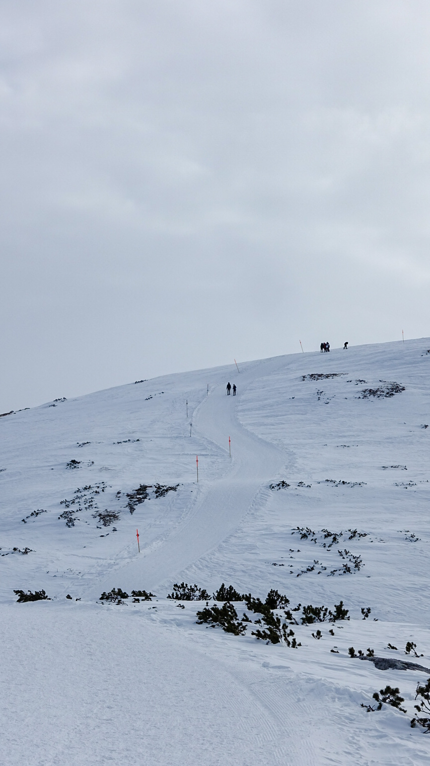 Steep uphill back to where we started